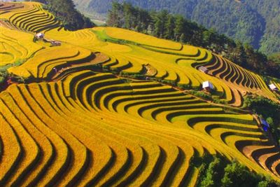 Sapa - Bac Ha Market 2 days 1 night from Hanoi