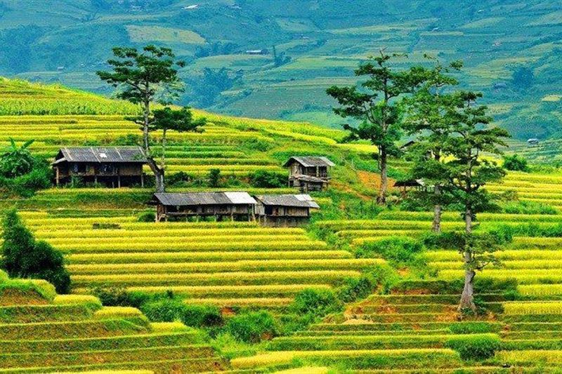 9 - Day Vietnam Package Tour  : HANOI – DUONG LAM - HA LONG - HA GIANG - BAN GIOC - BA BE