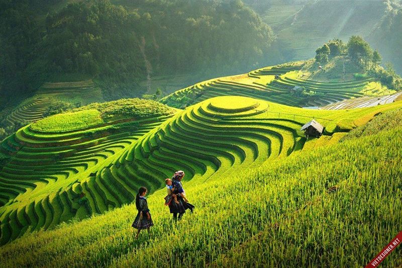 8 - Day Vietnam Package Tour  : HANOI – HA LONG – NINH BINH - MAI CHAU - PU LUONG